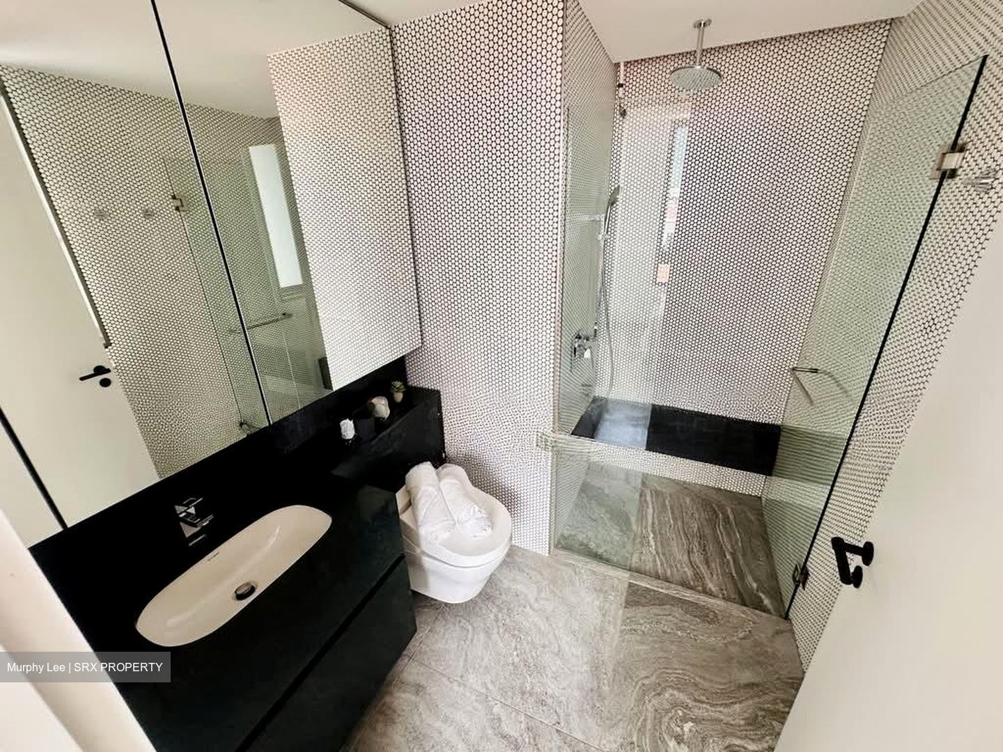 10 Evelyn (D11), Apartment #605752971